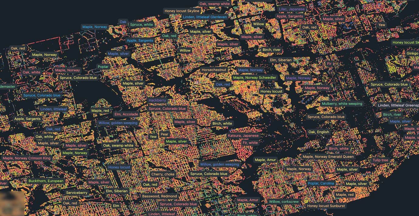 688,335 Trees of Toronto
